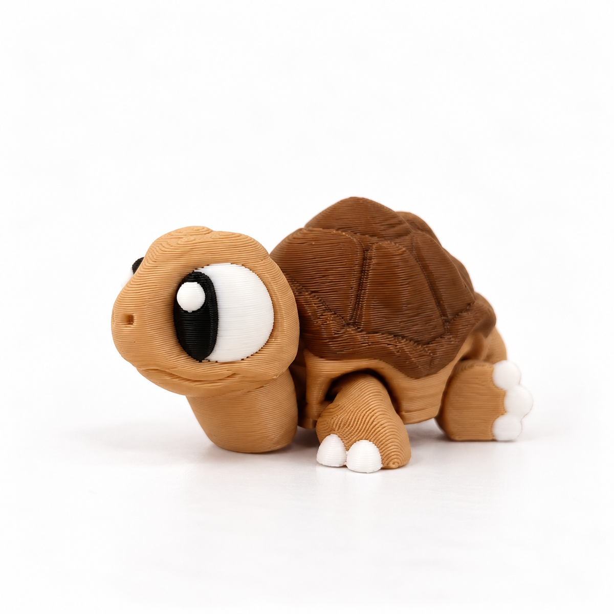 Schildkröte Tilda